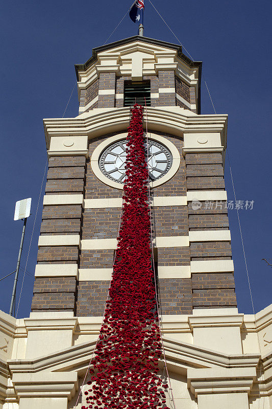 为纪念澳新军团日，澳大利亚新南威尔士州纳兰德拉市议会大厅内编织和钩织的罂粟
