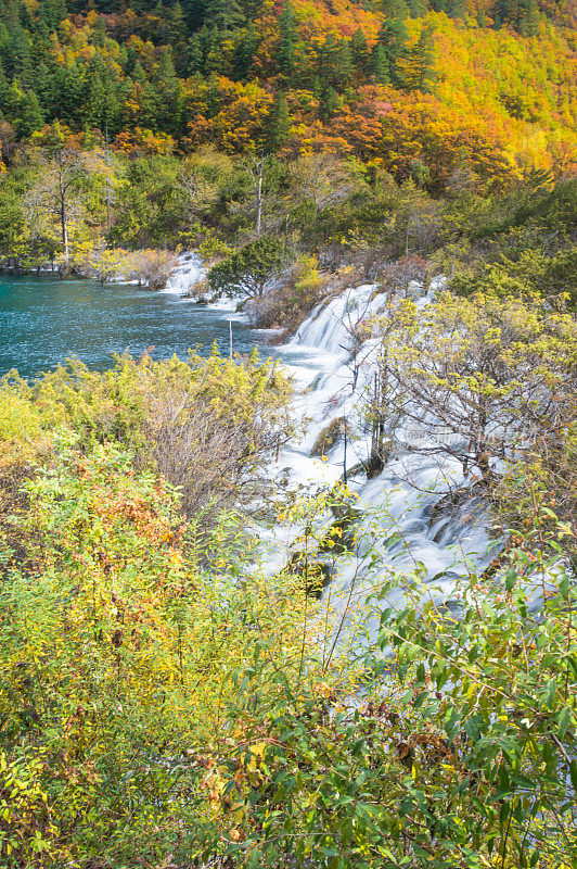 风景优美的木山和五花湖(九寨沟国家公园)，中国