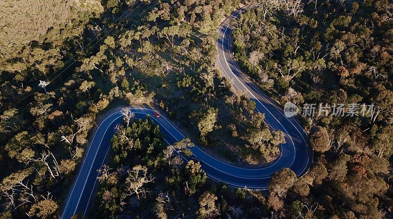 森林中蜿蜒道路