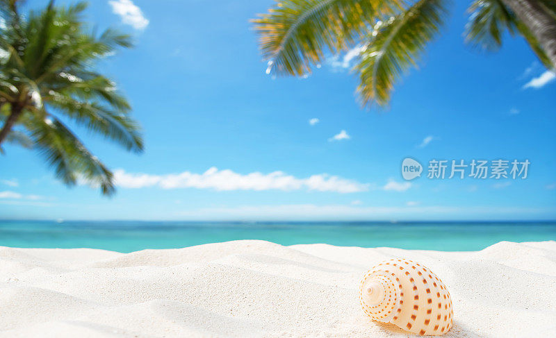 夏日热带海滩仿空间场景