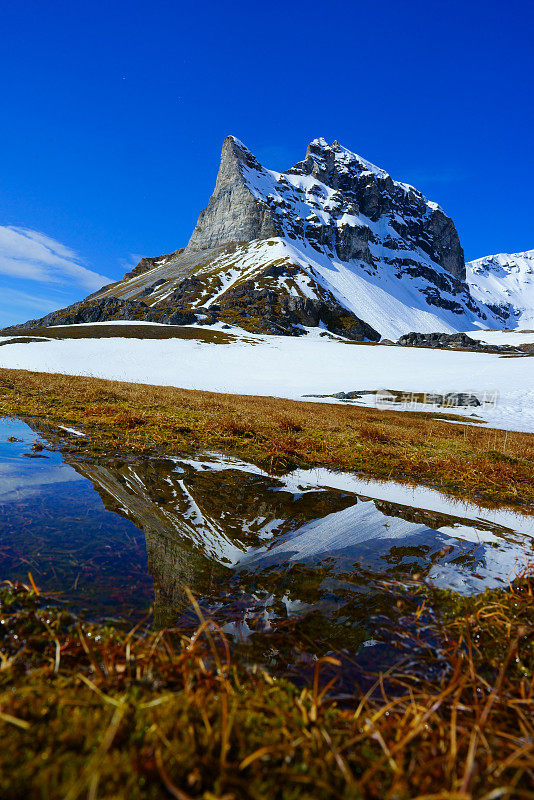 斯瓦尔巴特山脉和峡湾全景