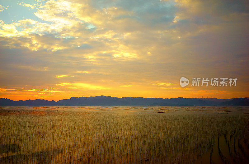 日出海藻农场，霞浦，中国，福建