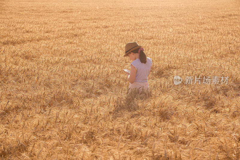 小女孩在麦田里散步，欣赏夕阳