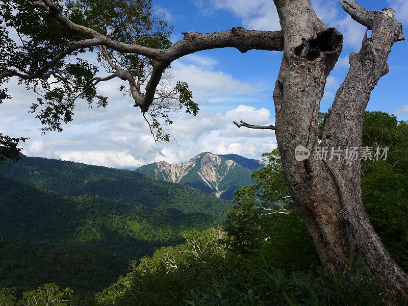 白山(白山，白山国立公园，日本100名山)