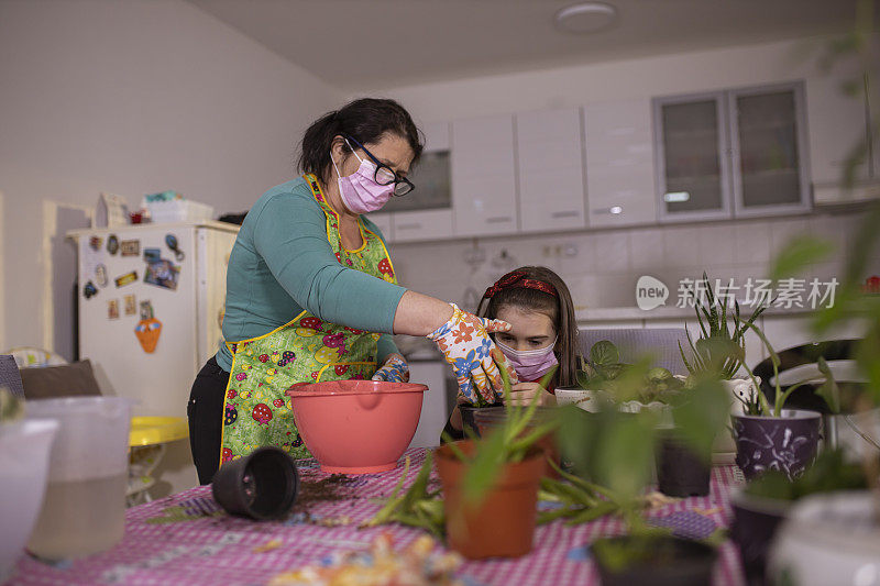 两个女性朋友在大流行期间在家种花。