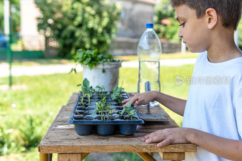 可爱的幼稚园小男孩在种树。他在家里的菜园里帮忙，玩得很开心