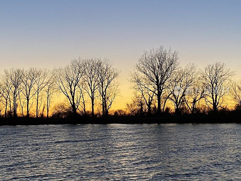 夕阳越过水面和远处的林木线