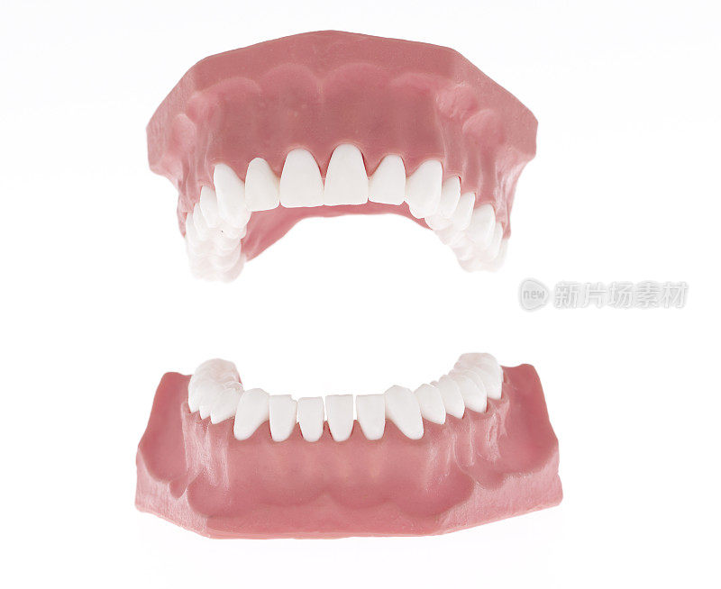 牙齿模式