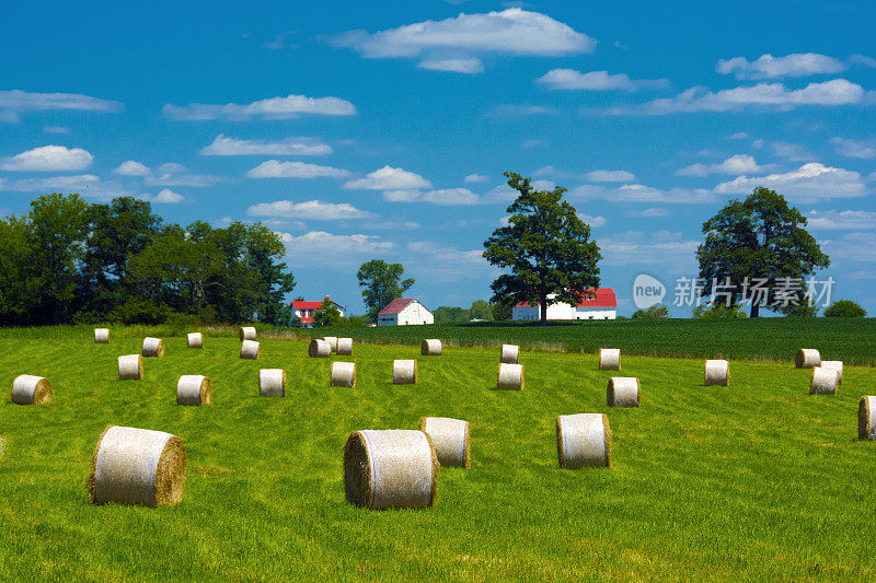 俄亥俄州东部的农场-干草地和谷仓
