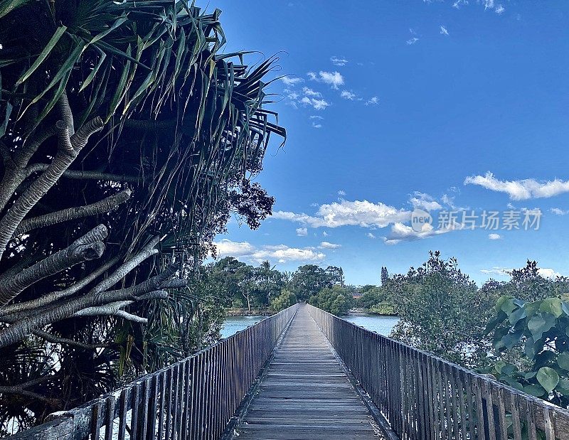 木制人行桥横跨河流与热带树木