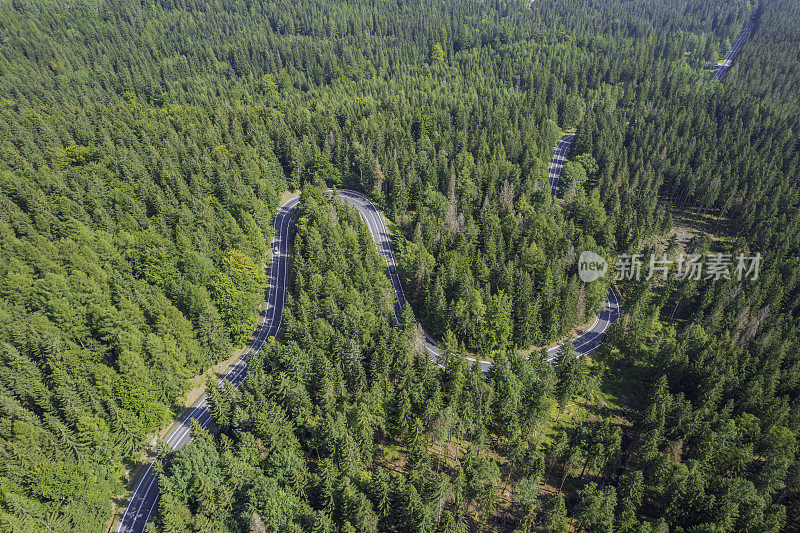 鸟瞰绿色森林中的山路