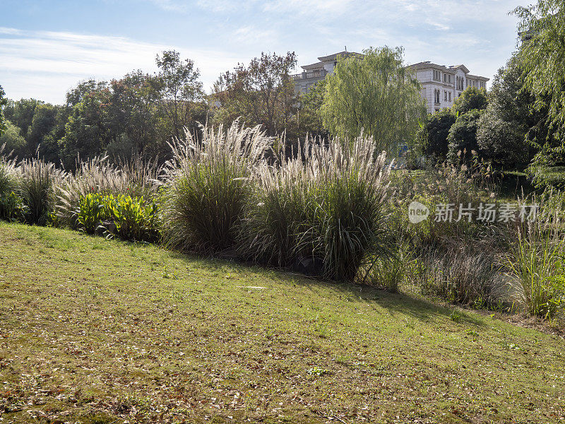 住宅楼前的草地