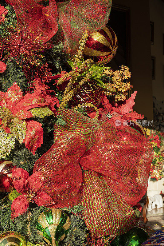 圣诞节装饰的一个房子的客厅