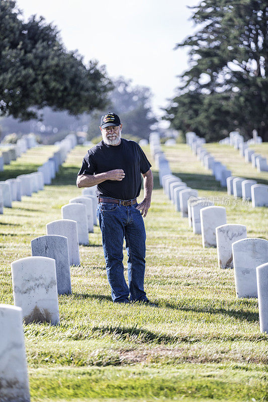 美国越战老兵在军人公墓被压死