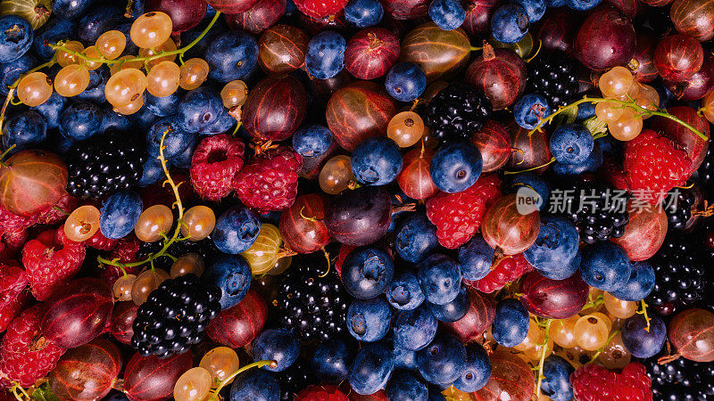 醋栗，蓝莓，桑葚，覆盆子，白醋栗和红醋栗。