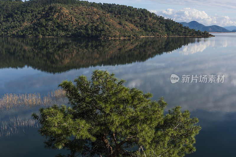 湖岸的森林，天空中的云在水面上的倒影