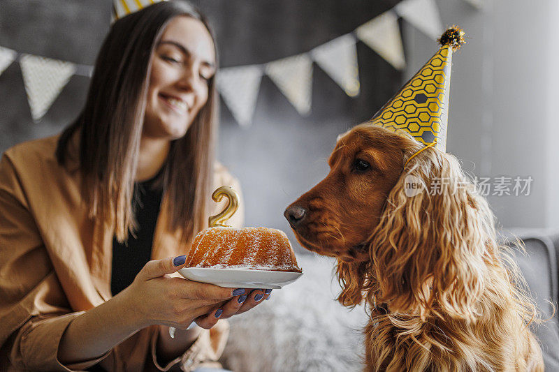 微笑的女人和她的狗在家里庆祝她的狗生日。