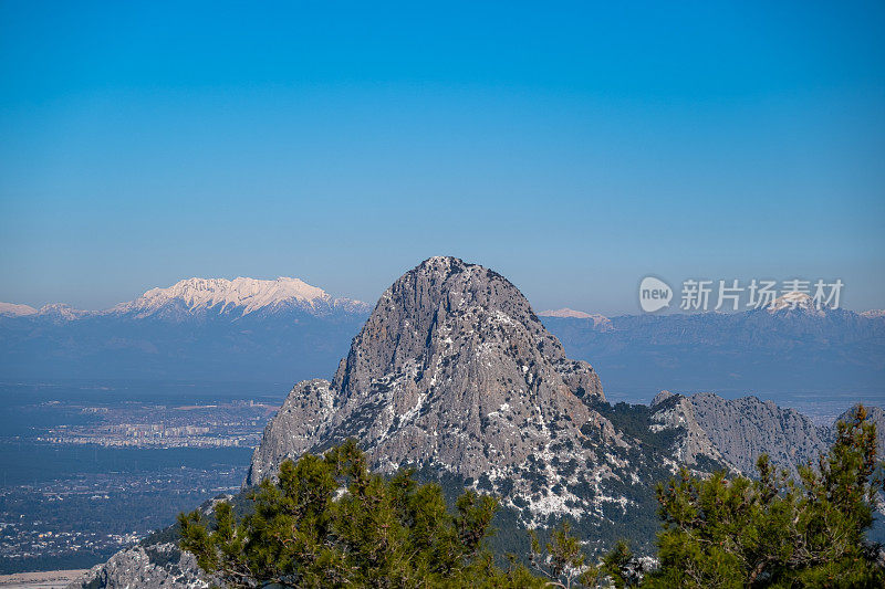 松树、尖山、雪山自然景观