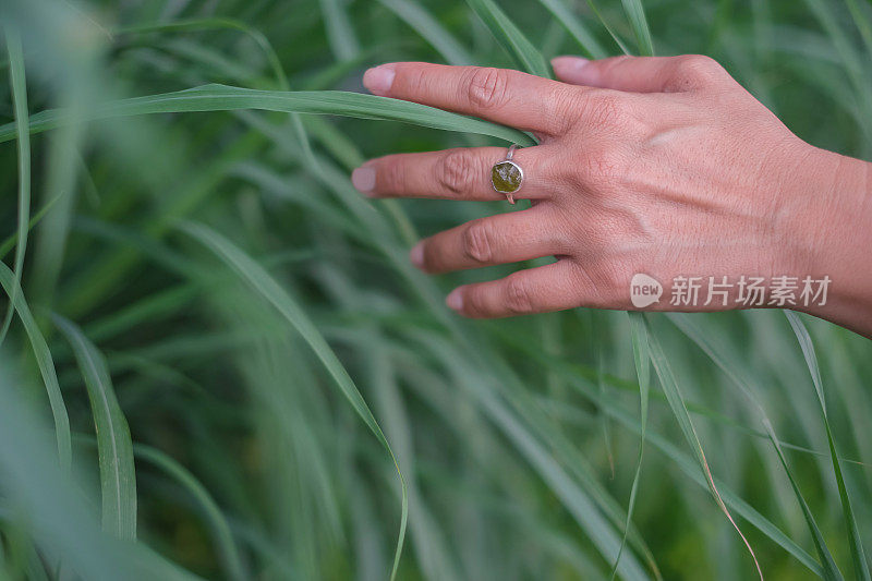 亚洲女性的手触摸绿草