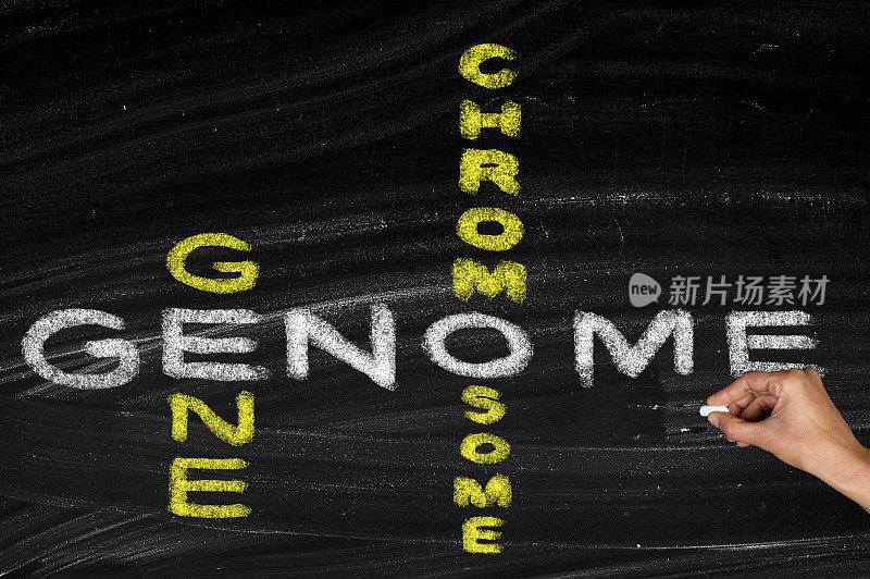 基因组基因和染色体