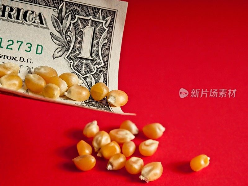 由于玉米通过美元流通，主食和谷物价格上涨
