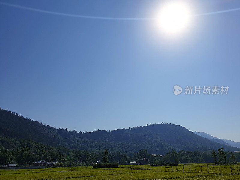 景观绿化美丽水田，自然造景。绿油油的土地和农田在夏春时节看起来很美。绿色植物、水、山。天空，阳光和云彩在自然美景。