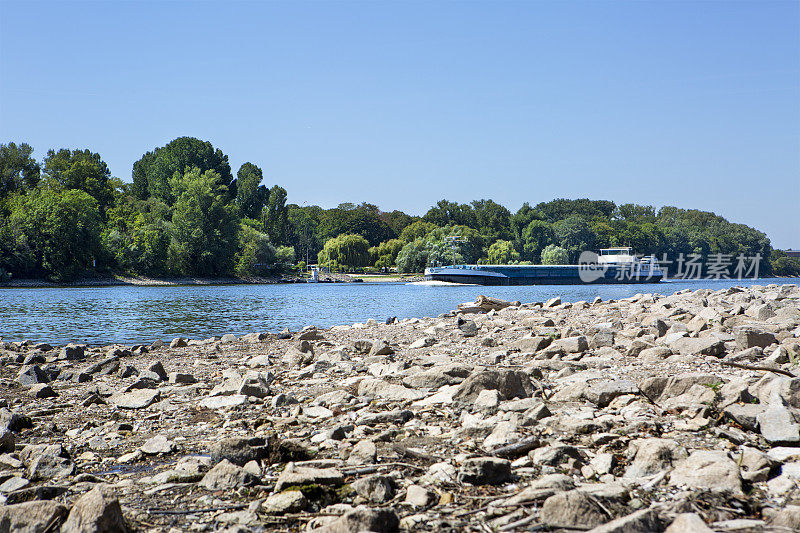 莱茵河-异常低的水位