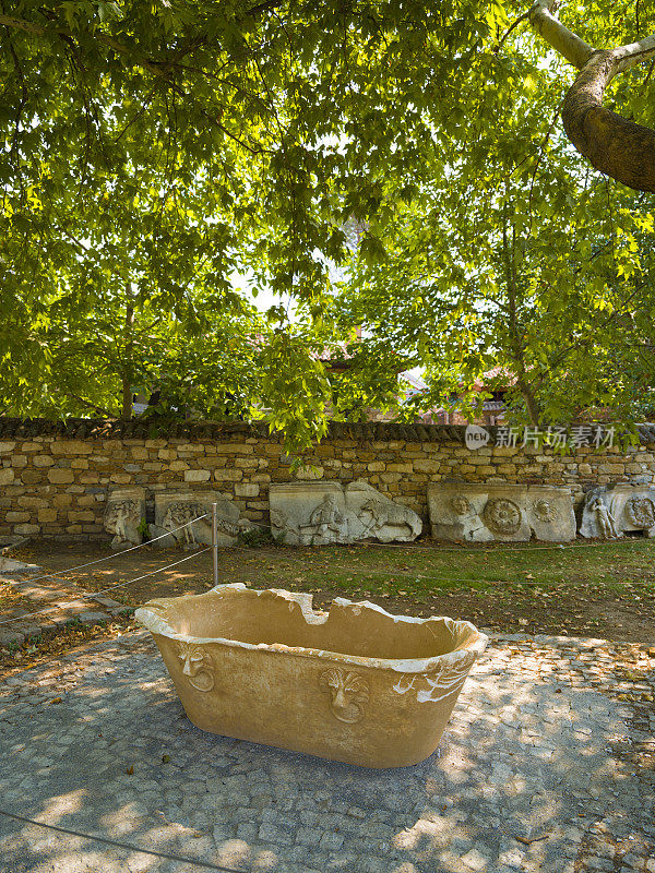 春草古城，aydın。火鸡