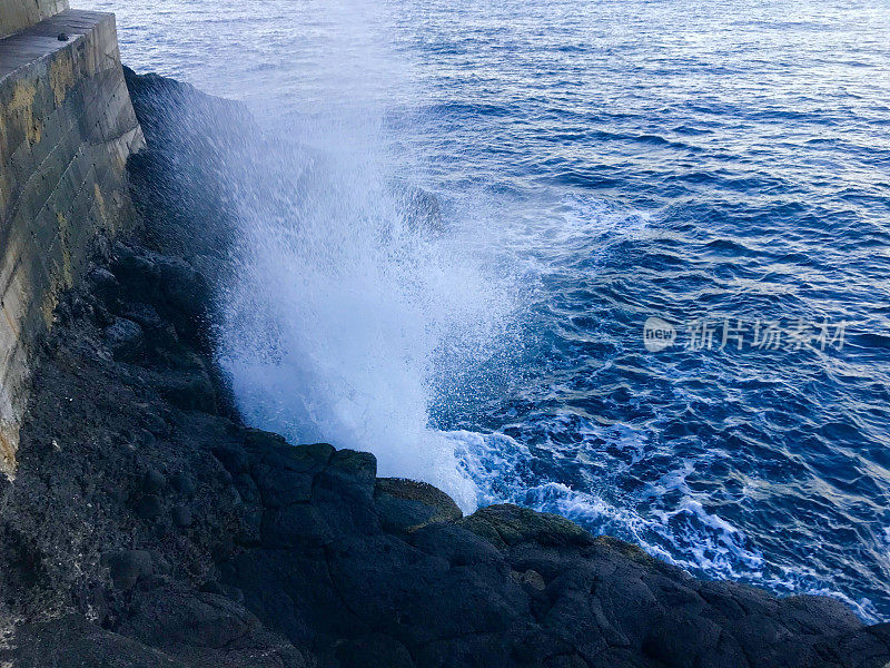 塔希提岛