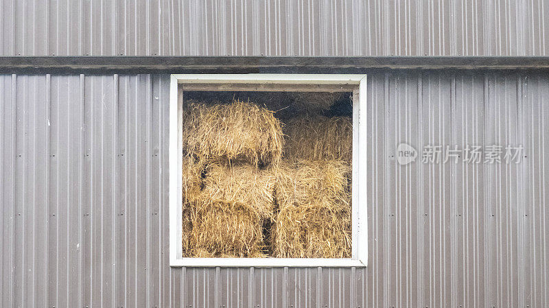 谷仓的窗户里堆满了一捆捆的干草