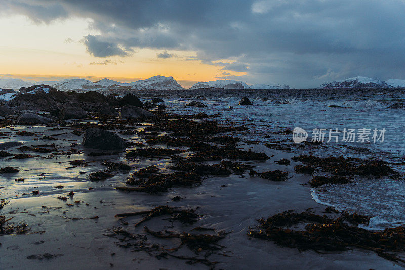 在挪威明亮的日落期间，冬季海滩的风景