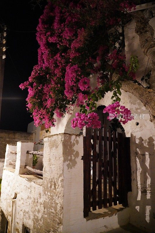 夜晚的街道，野syros