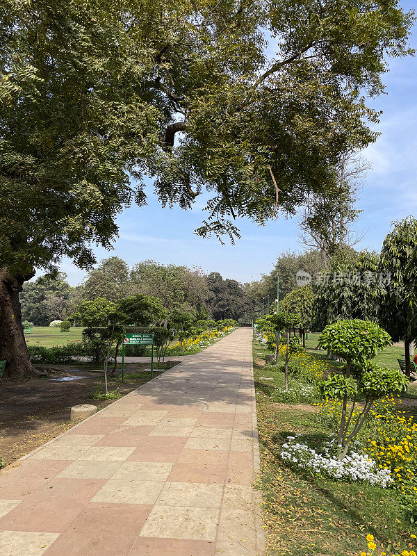 印度新德里，Lodhi花园公共公园铺砌的小路，绿色的草坪，种植的花坛和低矮的树篱
