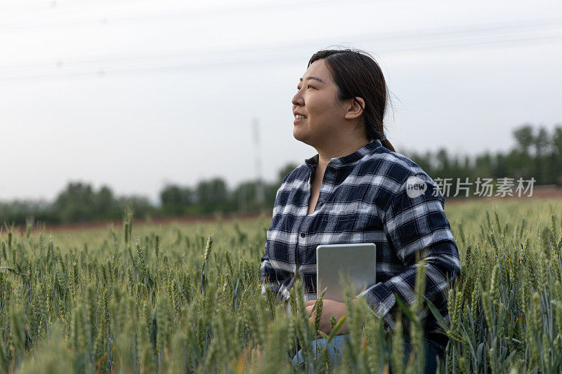 一位女农民手里拿着一块碑，站在一片广阔的绿色麦田里