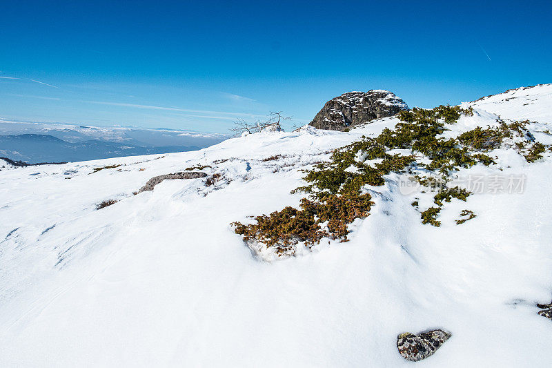 灌木丛上白雪覆盖着大地，山间蓝天下