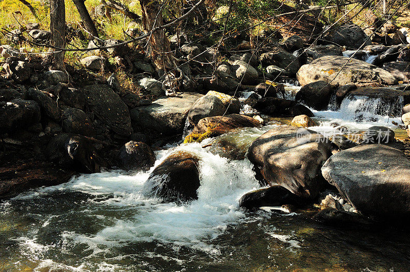 一条狂风暴雨的浅溪从山上流过，穿过秋林的水流，在路上弯曲着大石头。