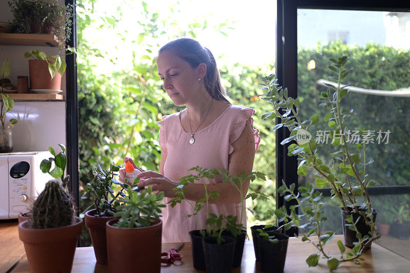 一个女人在照顾她的植物