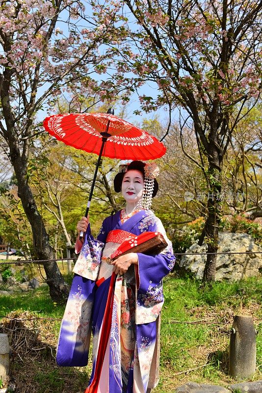 日本妇女在京都的春天享受舞子体验