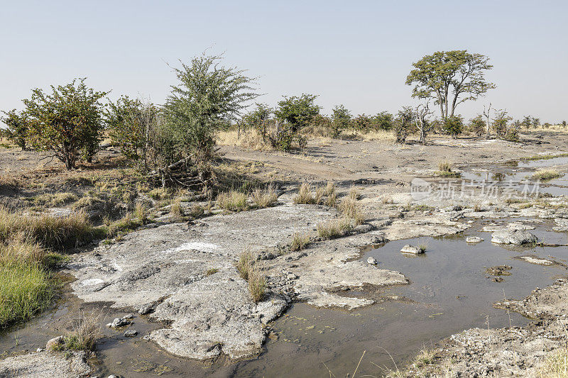 津巴布韦万吉国家公园的重要水源