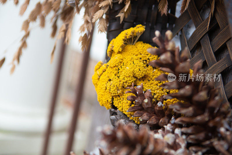 季节性节日花环