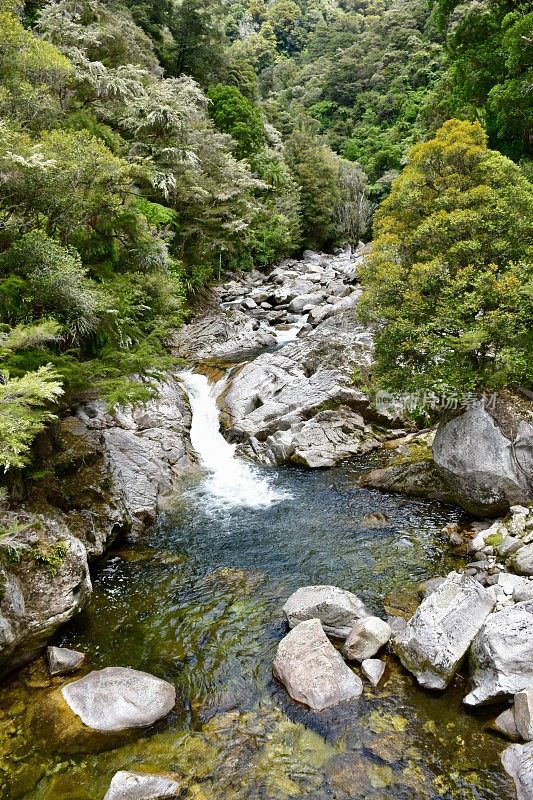河景，阿贝尔塔斯曼国家公园，新西兰