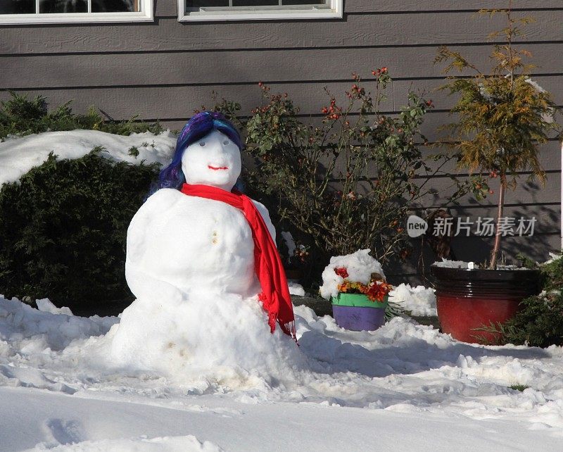 戴着红围巾和蓝帽子的雪人