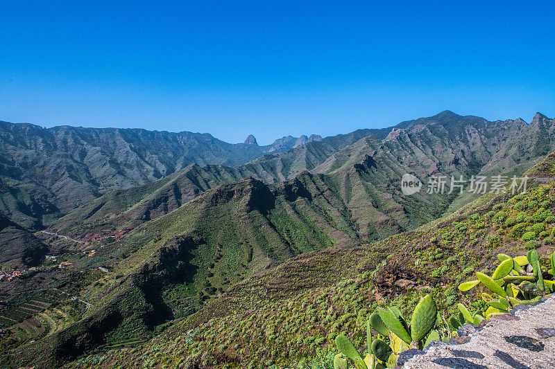 加那利岛美丽的山谷景色