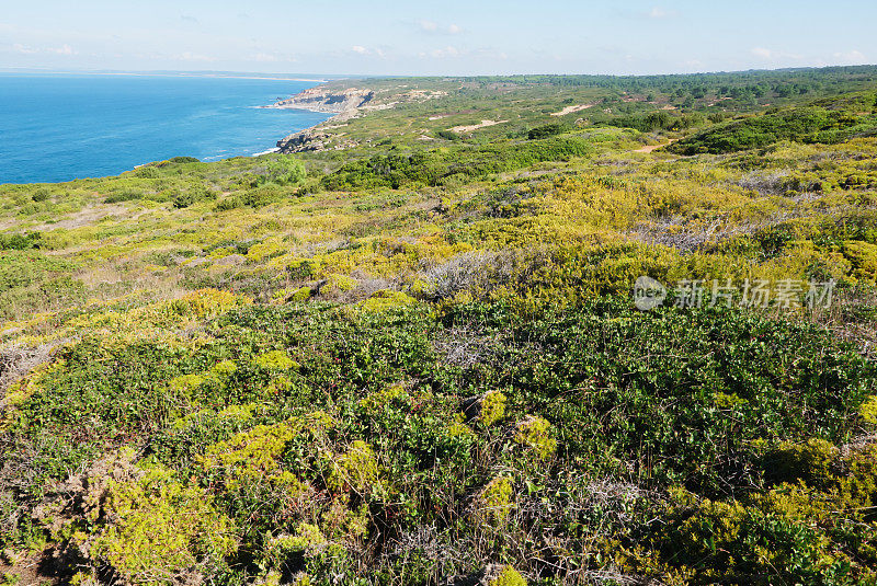 希斯海岸景观