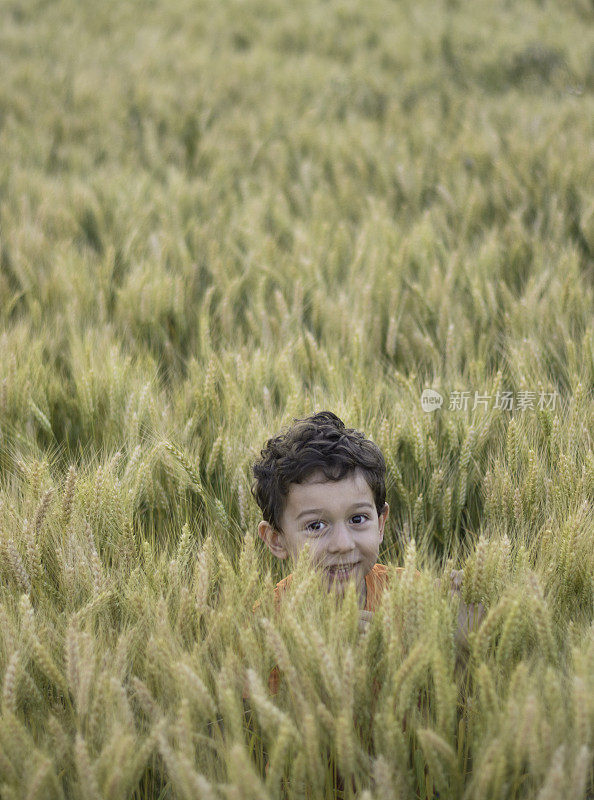 可爱的小农夫在麦田里拿着麦穗。