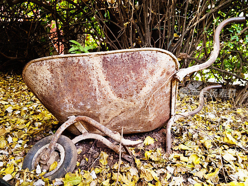 生锈的旧手推车躺在秋天的落叶堆中