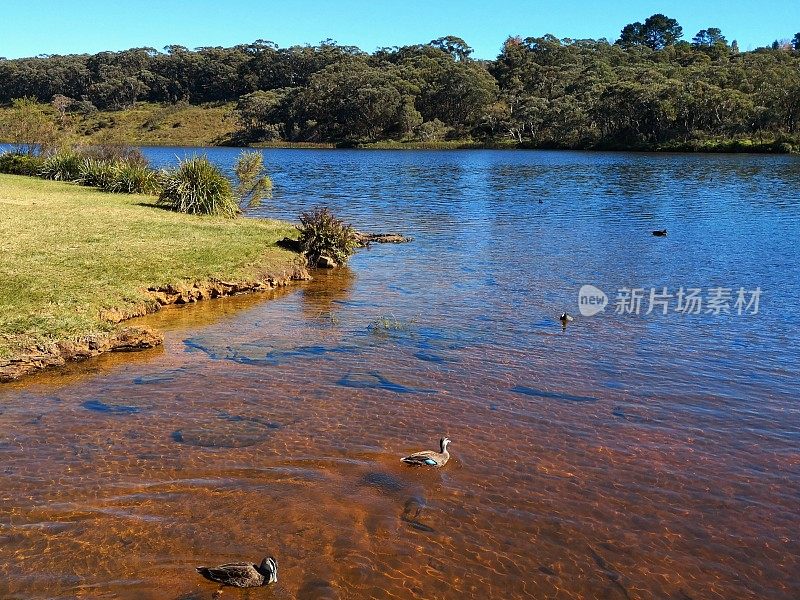 澳大利亚蓝山的温特沃斯瀑布湖