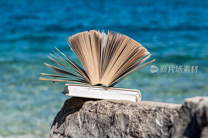 在沙滩上看书——夏季阅读
