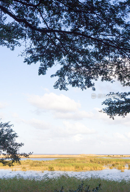 南非夸祖鲁-纳塔尔省的iSimangaliso湿地公园