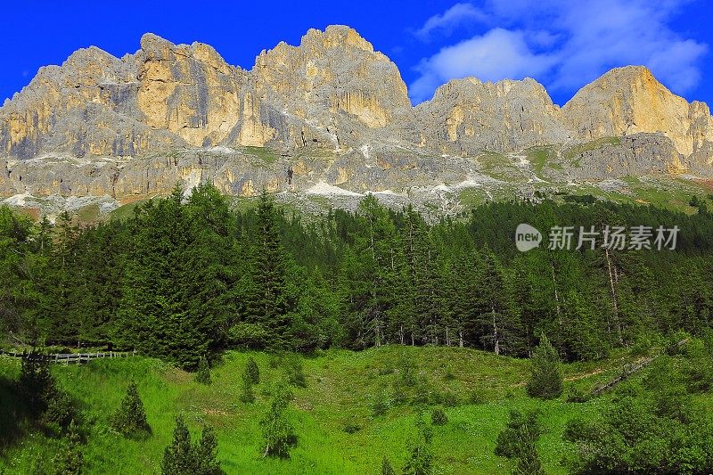 田园诗般的白云石高山松树景观日出，意大利泰洛阿尔卑斯山